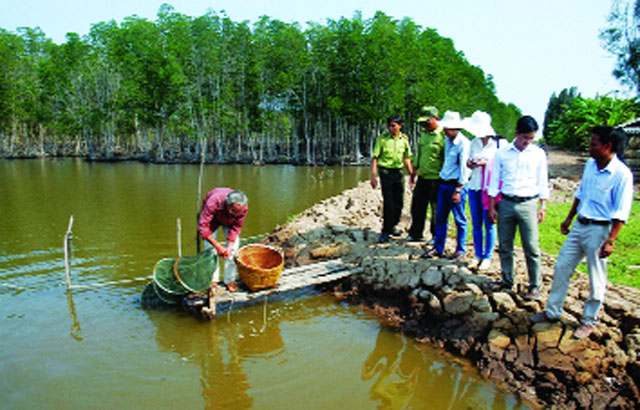Bạc liêu: Những mô hình hiệu quả dưới tán rừng
