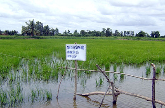 Mô hình luân canh