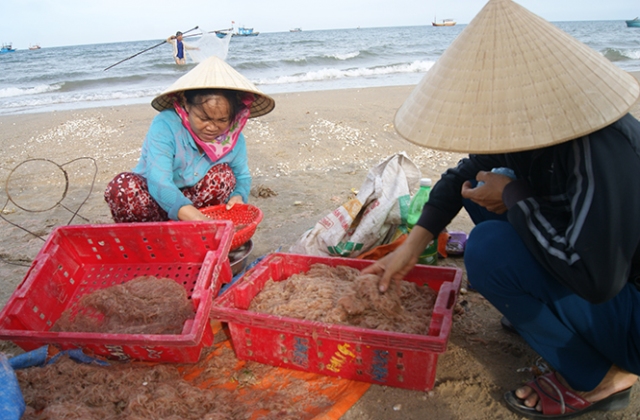 Kết quả phân tích mẫu khuyếc biển an toàn