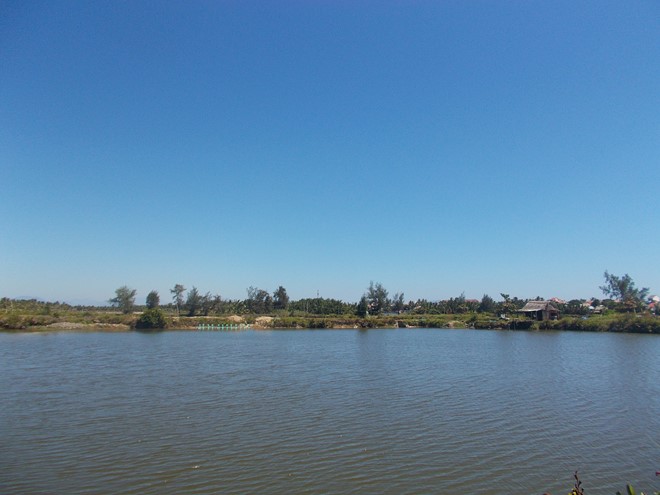 Quảng Nam: Người nuôi tôm 