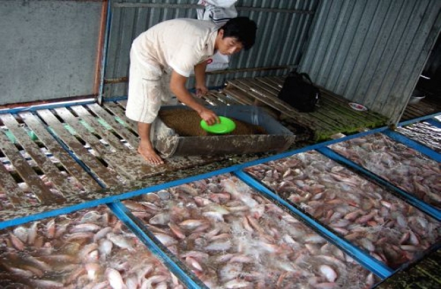 Tiền Giang: Khuyến cáo kỹ thuật nuôi thủy sản phù hợp