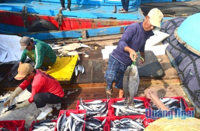 Phiền toái vì... thiết bị hiện đại