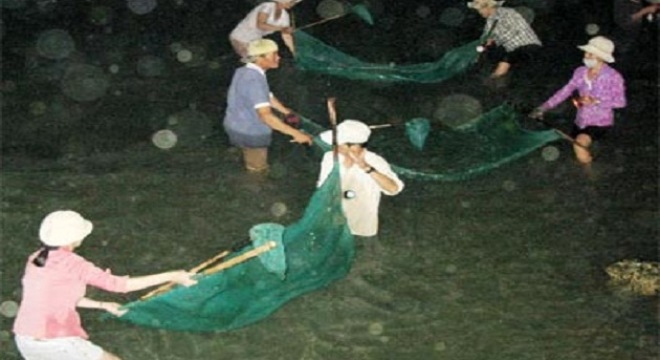 Người dân trúng đậm cá chình trên sông Cái