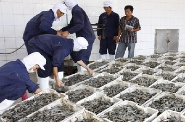 Giá nguyên liệu thủy sản tại Đồng Tháp từ 17/3 – 24/3/2017