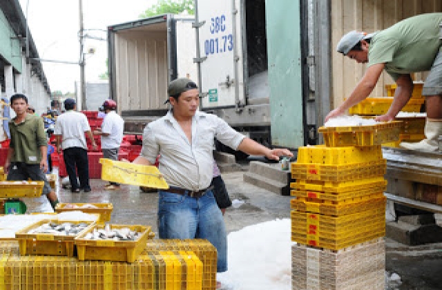 Xuất khẩu thủy sản giảm mạnh về lượng và giá