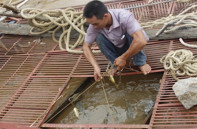 Cần nuôi thủy sản đặc hữu theo khu vực