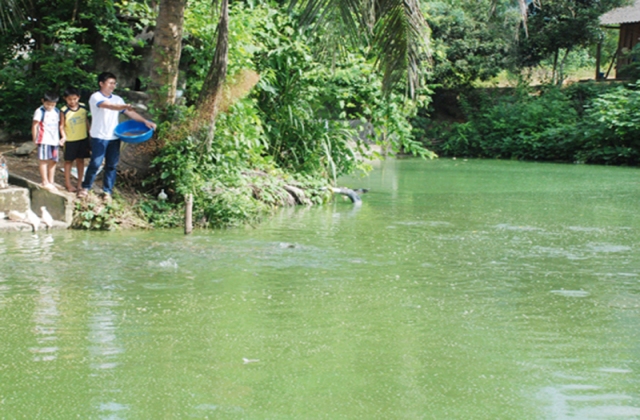 Phong Hải phát triển nuôi thủy sản