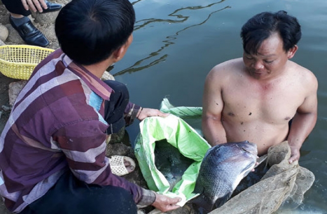 Có nghề trong tay, thoát nghèo không khó