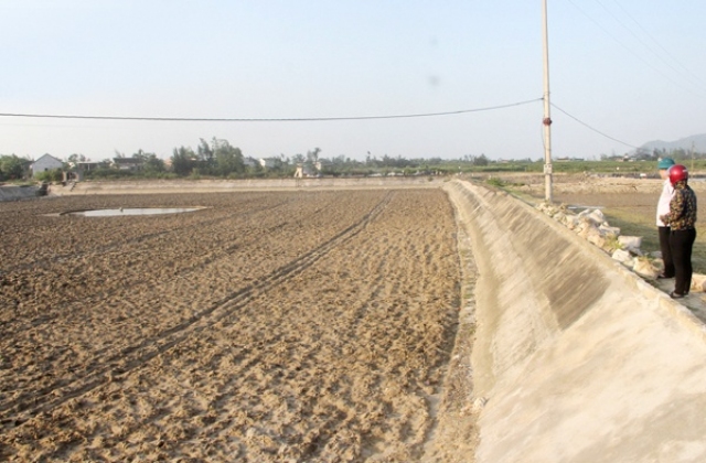 Hà Tĩnh: Rộn ràng đầm tôm đầu vụ
