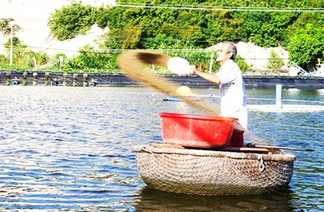 Cần theo dõi chặt biến động các chỉ tiêu môi trường