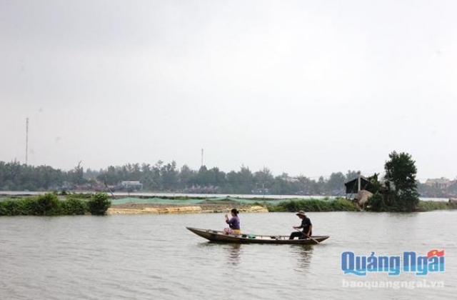 Quãng Ngãi: Vành đai xanh cần được bảo vệ
