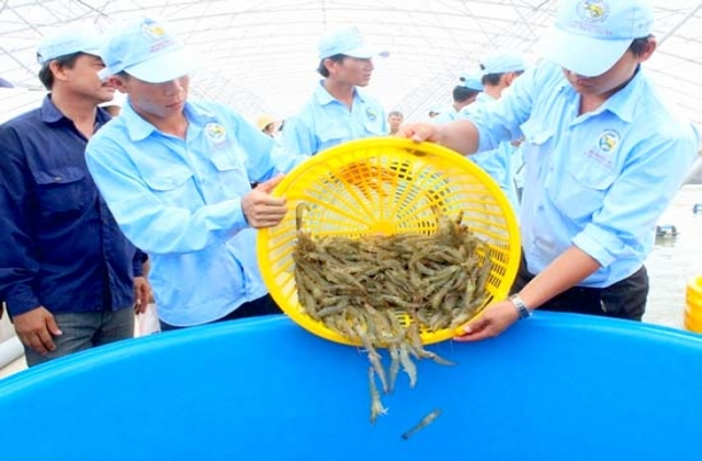 Xuất khẩu thủy sản 2016: Nỗ lực vượt qua hạn, mặn