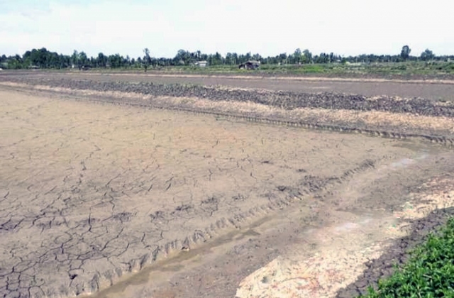 Nông dân Mỹ Xuyên thận trọng trong vụ nuôi tôm 2018