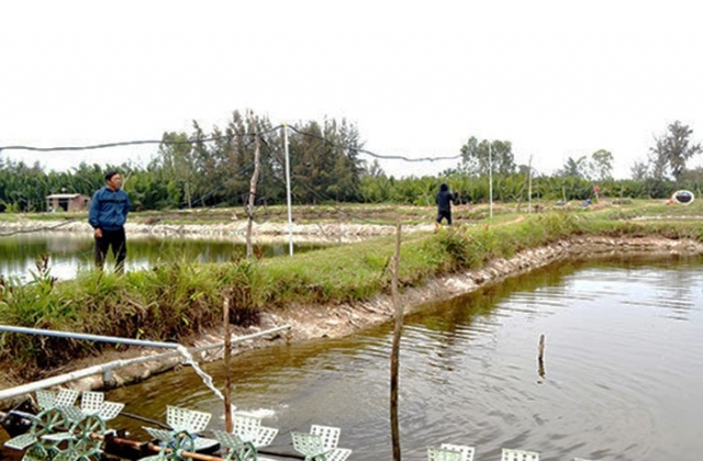 Cấp thiết nuôi tôm tập trung