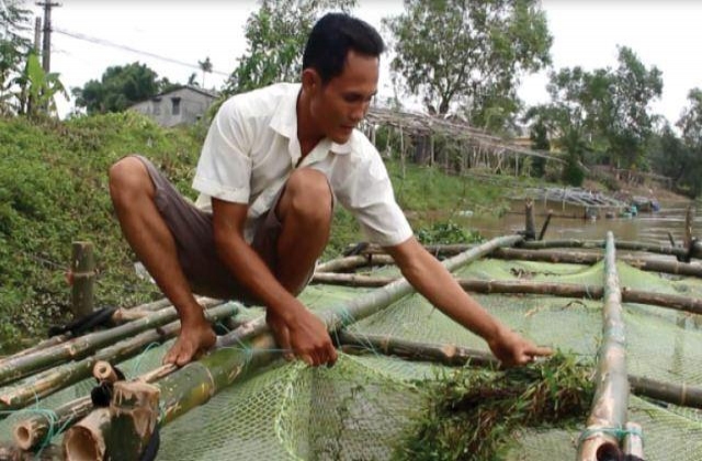Tăng cường nuôi trồng thủy sản cung ứng kịp thời vào dịp Tết