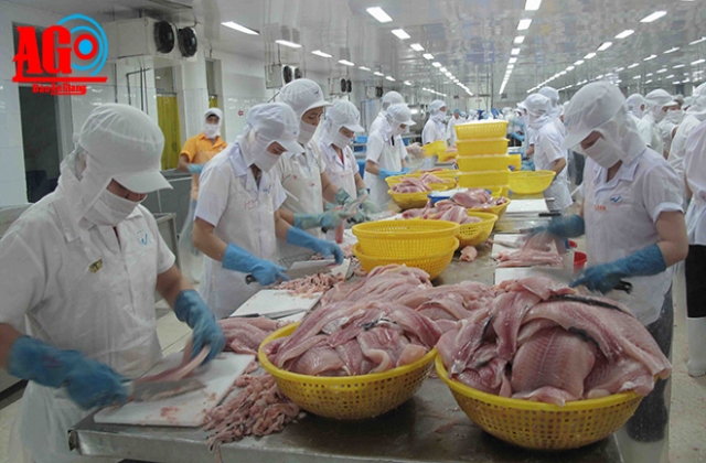 Giới hạn cho phép Enrofloxacin của Nhật Bản nghiêm ngặt hơn EU