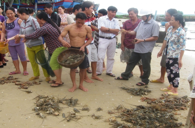 Lũ lụt ở Phú Yên: Ước thiệt hại ban đầu hơn 311 tỉ đồng