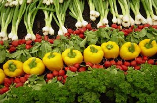 Rau quả Việt dự kiến xuất ngoại 2,5 tỉ USD năm 2016