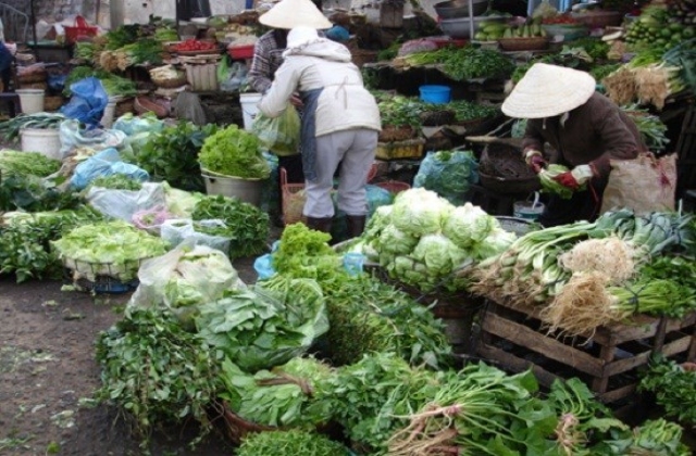 Hải sản đứng đầu bảng về chứa chất cấm, kháng sinh