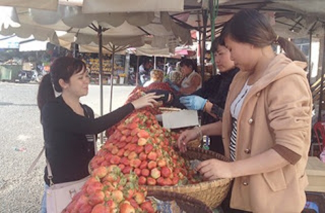Mua đặc sản Đà Lạt,rước về