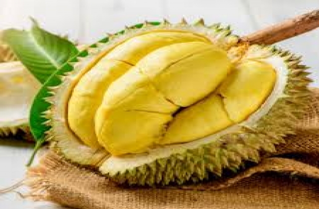 Dừa, sầu riêng Việt sang Trung Quốc có thể rẻ hơn
