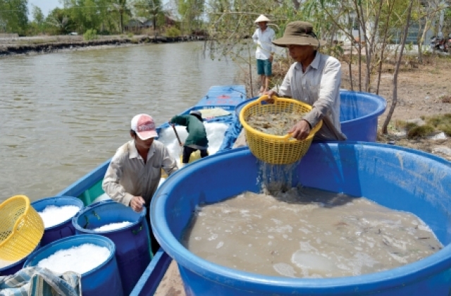 Ðể nông dân bước vào sân chơi lớn