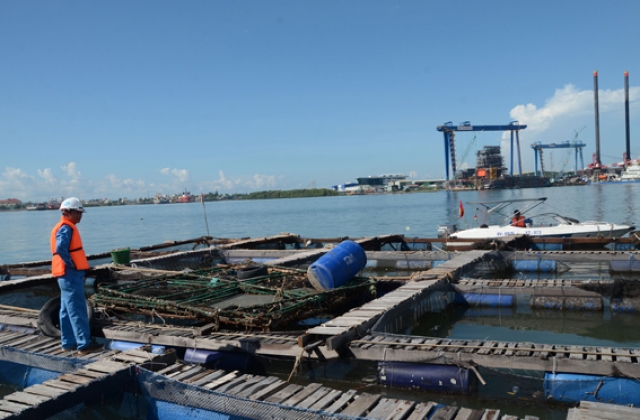 Bà Rịa Vũng Tàu: Hơn 60 bè nuôi thủy sản trái phép trên sông Dinh