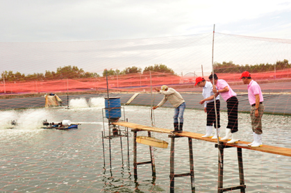 Thừa Thiên - Huế: Thủy sản thiệt hại nặng do nắng nóng kéo dài