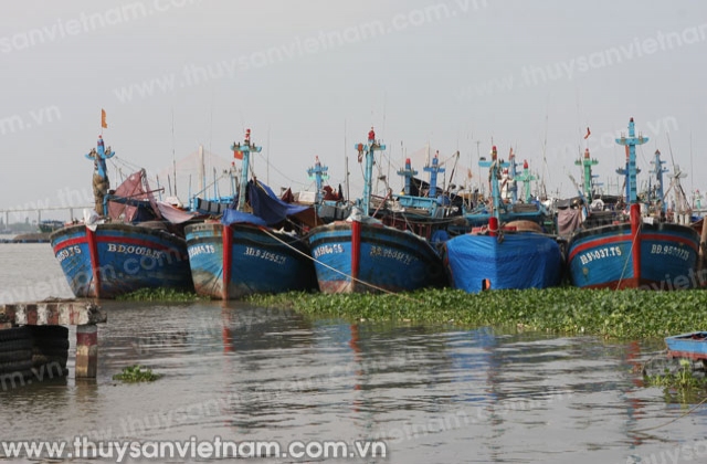 Bình Định: Các khu neo đậu tàu thuyền tránh trú bão quá tải
