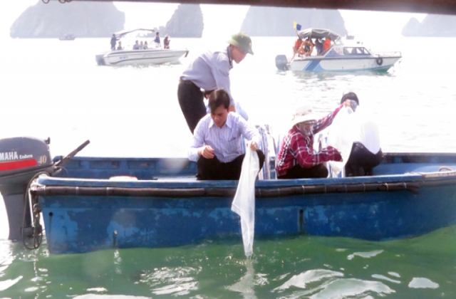 Đưa ra thị trường 100 tỉ con giống hải sản các loại