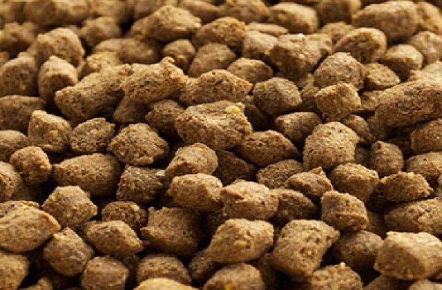 FDA chấp thuận sử dụng taurine trong thức ăn thủy sản