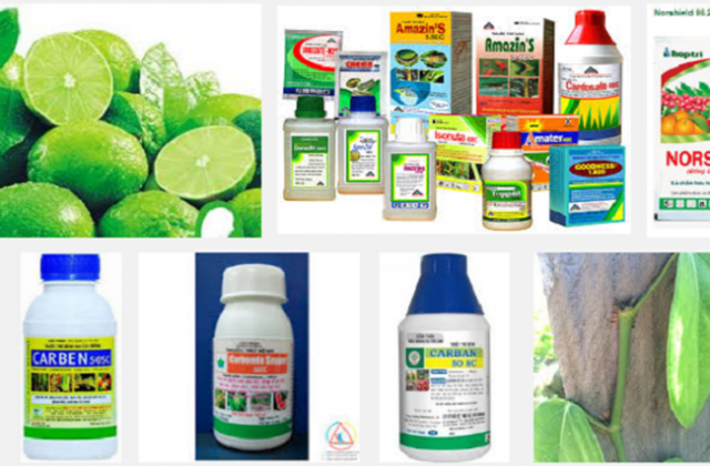 Dừng lưu hành 300 nhãn hiệu thuốc bảo vệ thực vật