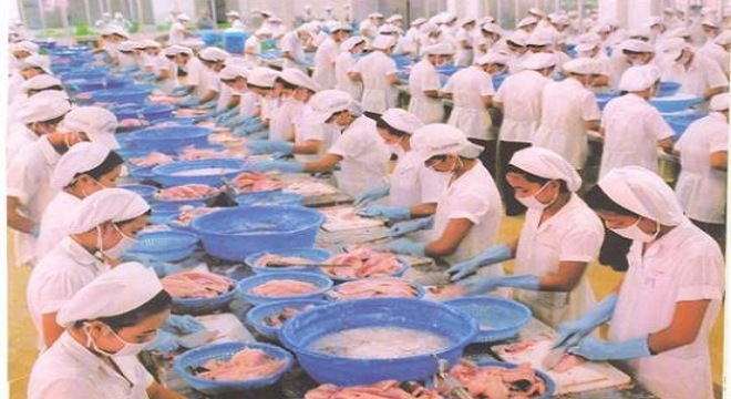 Thủy sản Việt Nam khó lòng vào Mỹ
