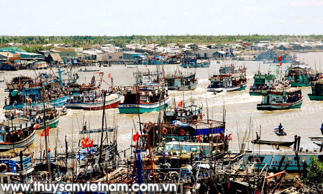 Cà Mau: Báo động cạn kiệt nguồn lợi thủy sản ven bờ