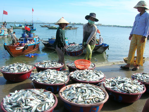 Lợi ích của việc xử lý môi trường trong các hoạt động nuôi trồng, chế biến thủy sản