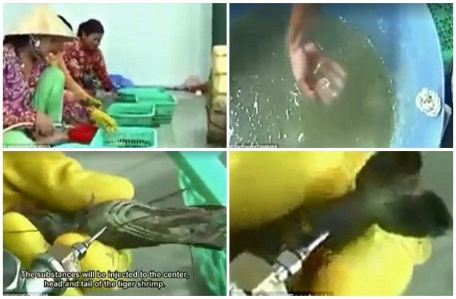 Tôm Việt bị bơm tạp chất lên báo nước ngoài, gây hoang mang cho giới ẩm thực quốc tế