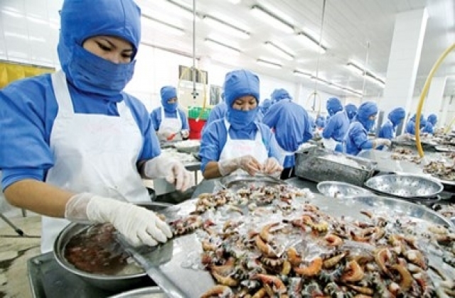 Sản phẩm thủy sản nhiễm kháng sinh tăng cao