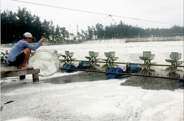 Nắng nóng, thủy sản chết và chậm phát triển