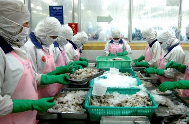 Bạc Liêu: Liên kết nuôi tôm được hỗ trợ tìm vốn vay