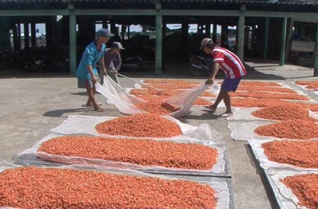 Đưa loạt hàng tôm khô đầu tiên vào siêu thị