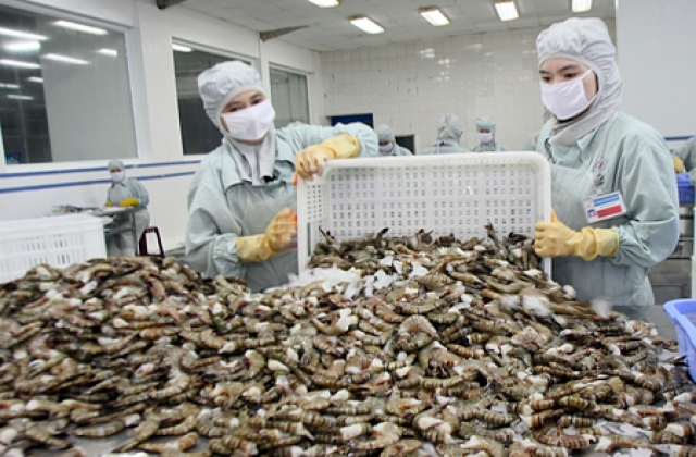 Nông dân nuôi tôm nước lợ cần nâng cao ý thức bảo vệ môi trường