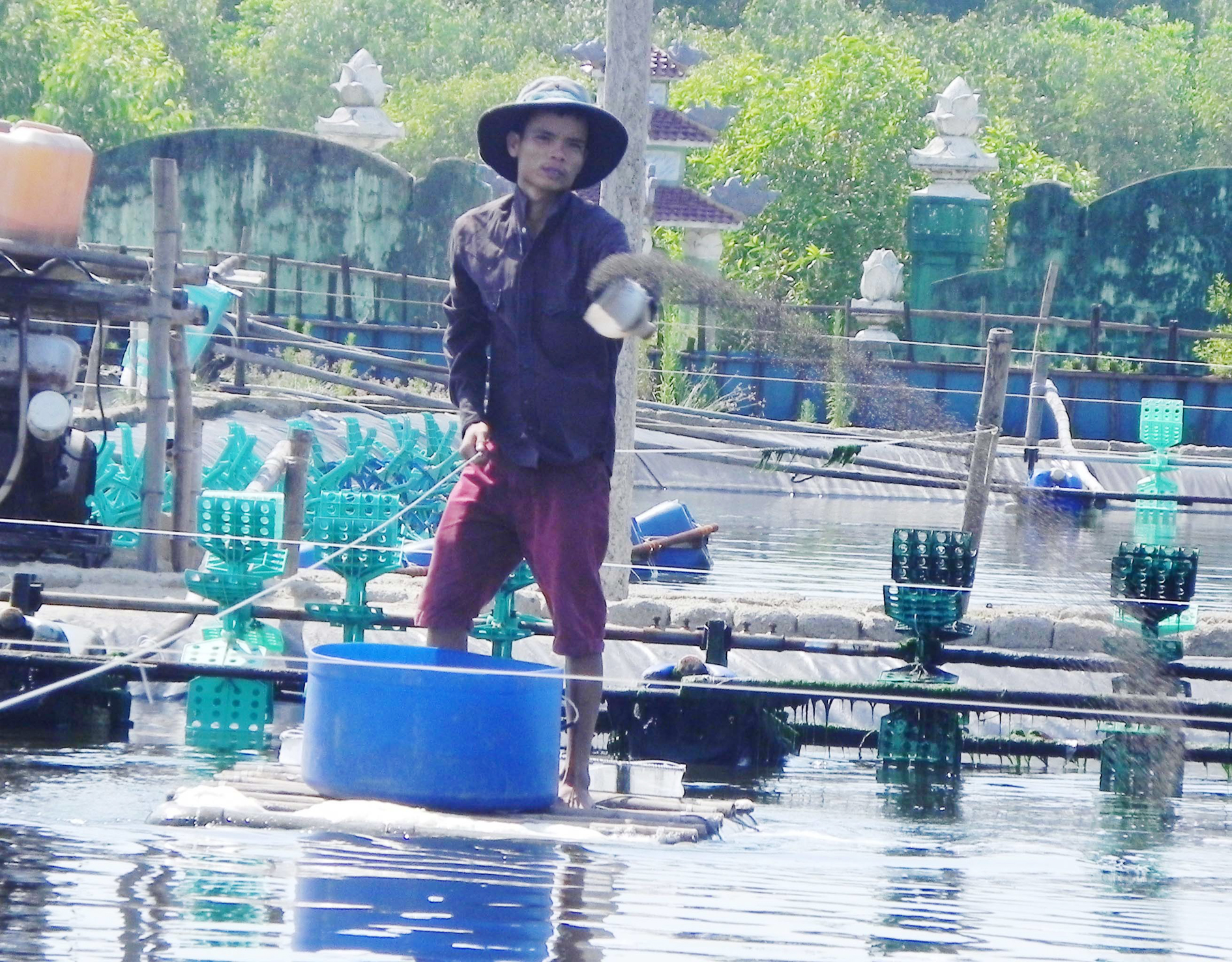 Thừa Thiên - Huế: Tôm cá chết do nắng nóng