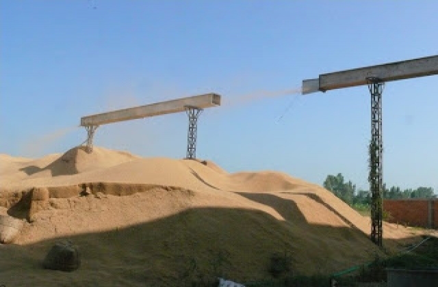 Xuất khẩu phế phẩm nông nghiệp: Giá trị vàng của trấu