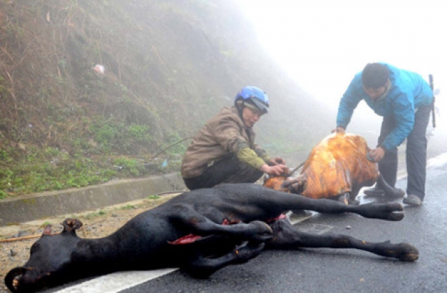 Những điểm nổi bật của kinh tế Việt Nam tháng 1