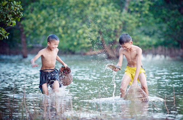 Thương nhớ tôm cá đồng chiêm