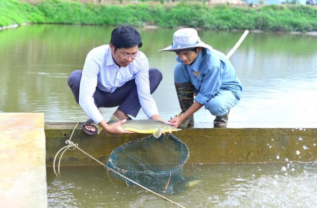 Khoa học giúp phát triển sôi động ngành nuôi cá nước lạnh