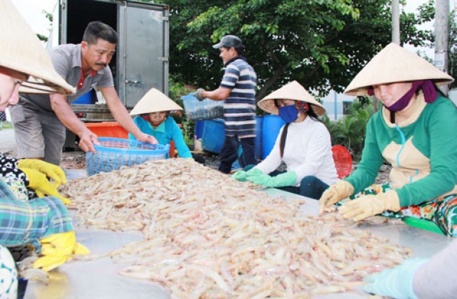 Sản lượng thủy sản đạt trên 200 ngàn tấn