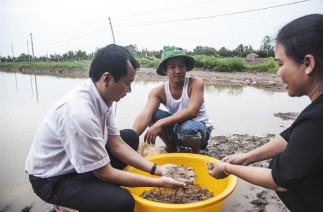 Sóc Trăng thắng lớn vụ tôm 2016