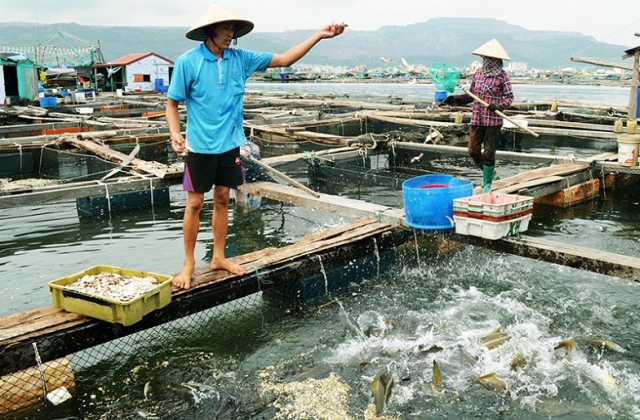 Quảng Ninh: Tín hiệu vui từ ngành Thuỷ sản
