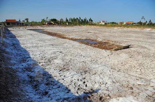 Ninh Bình: Tôm chết chưa rõ nguyên nhân trên diện tích gần 600ha